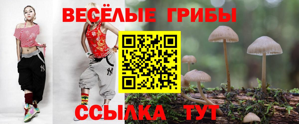 Псилоцибиновые грибы Cubensis  Псилоцибиновые грибы Magic Shrooms  Гагарин  Вход с VPN 